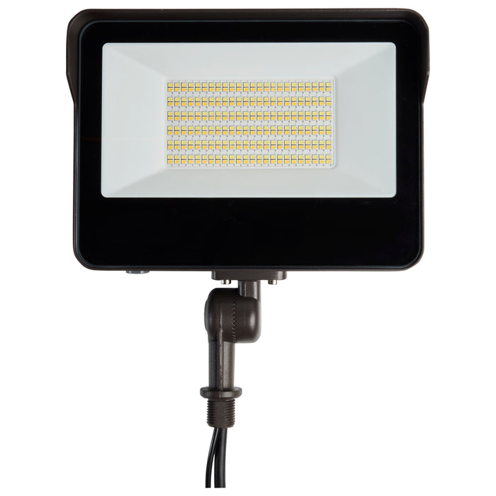 LED Flood Light in Bronze