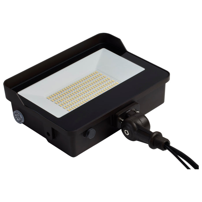 LED Flood Light in Bronze