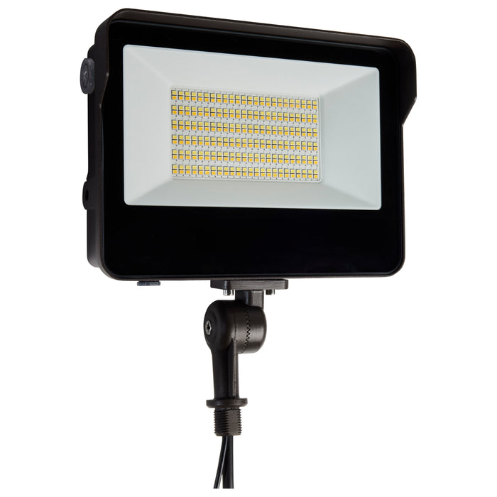 LED Flood Light in Bronze