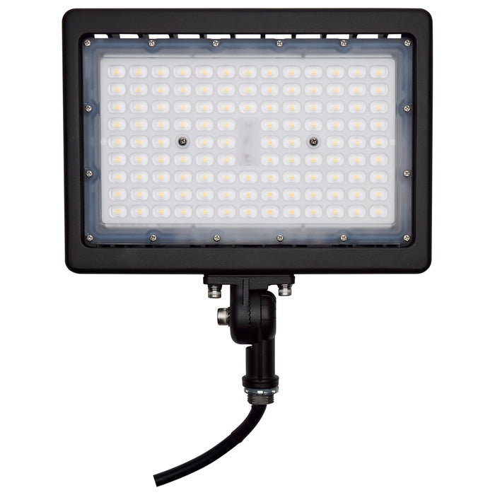 LED Flood Light in Bronze