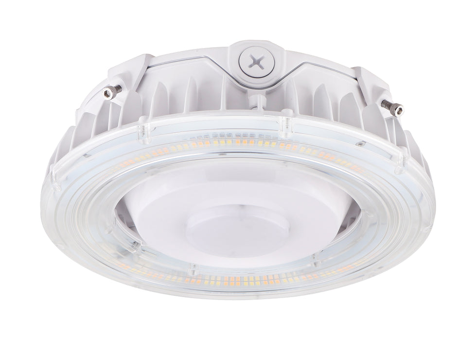 LED Canopy Fixture in White