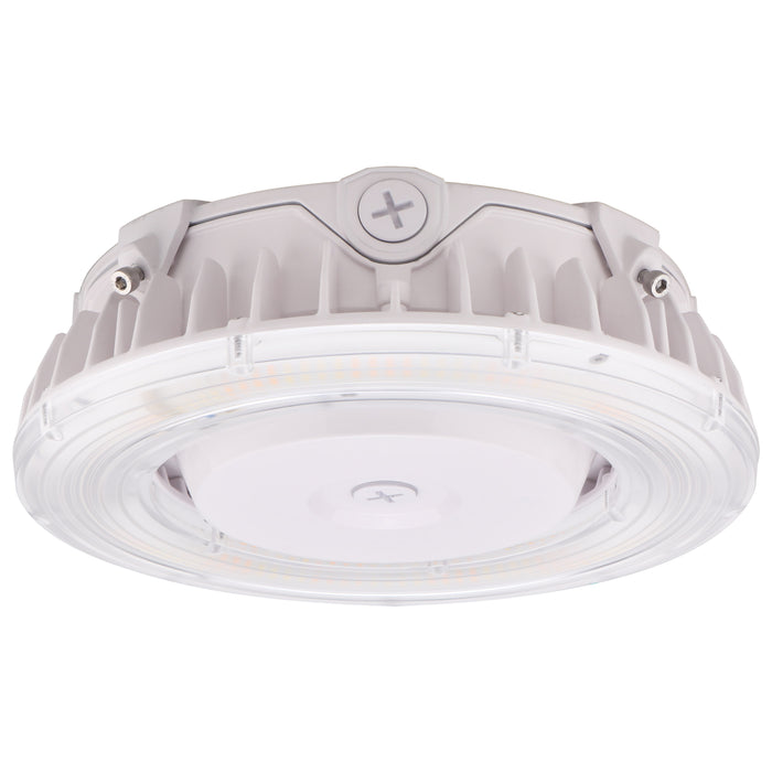 LED Canopy Fixture in White