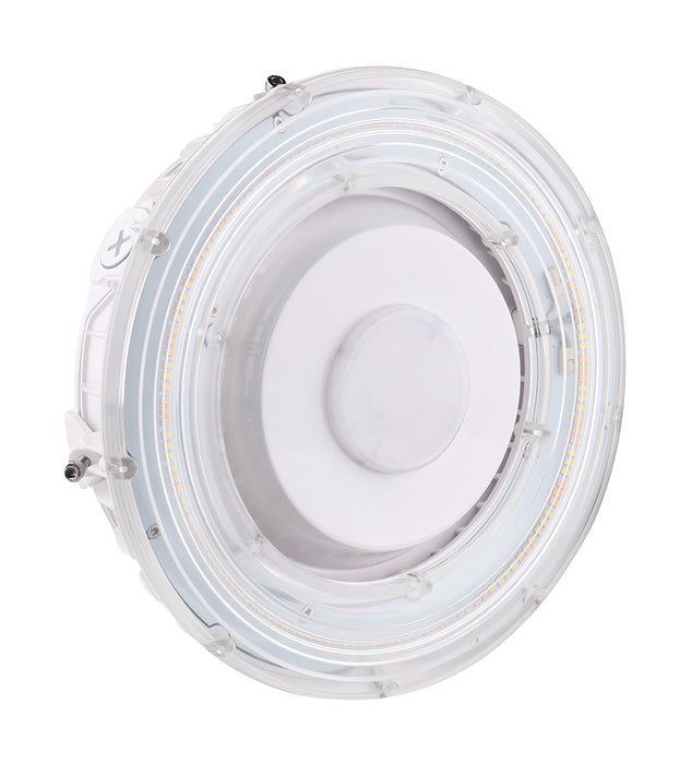 LED Canopy Fixture in White