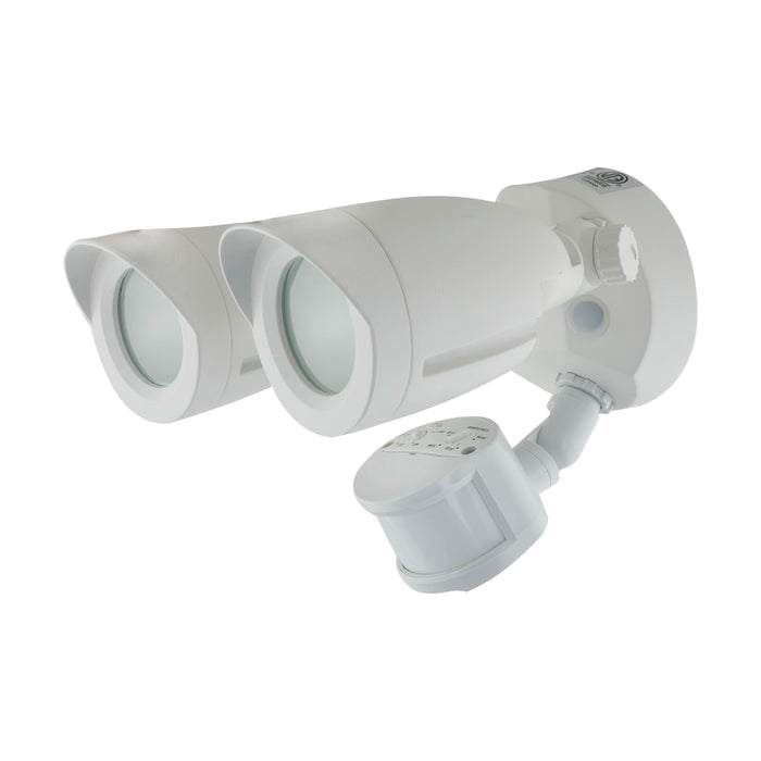 LED Security Light in White