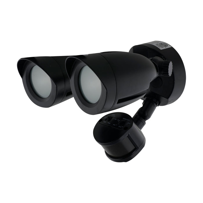 LED Security Light in Black