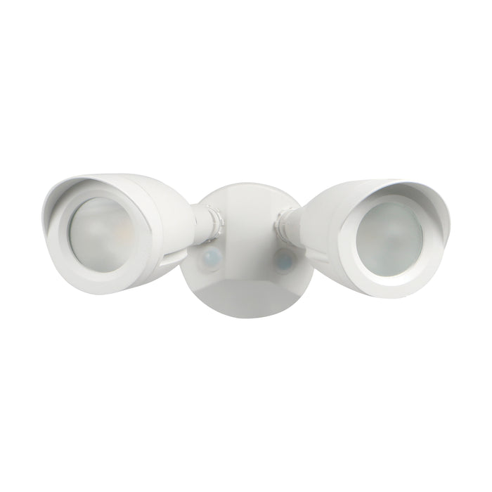 LED Security Light in White