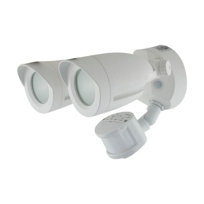 LED Security Light in White