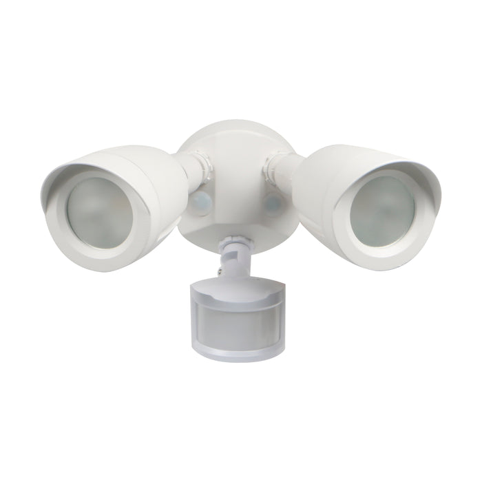 LED Security Light in White