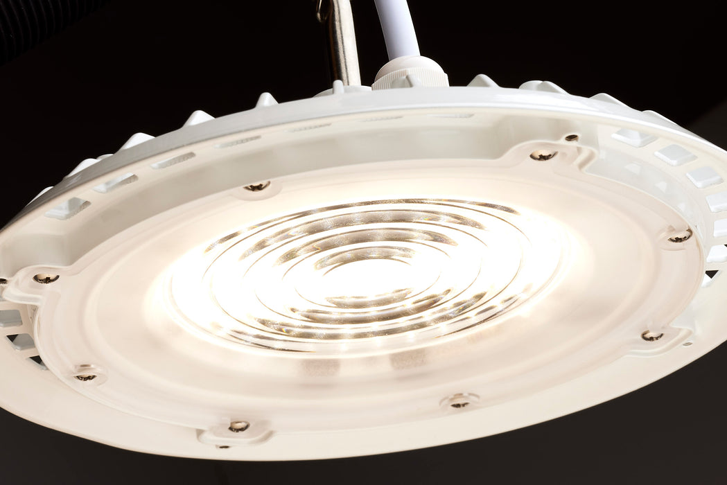 LED UFO w/Plug in White