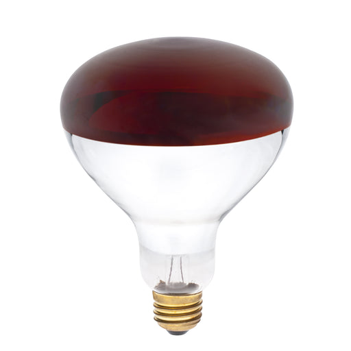 Myhouse Lighting Westinghouse Lighting - 0391700 - Light Bulb - Light Bulb - Red