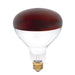 Myhouse Lighting Westinghouse Lighting - 0391700 - Light Bulb - Light Bulb - Red