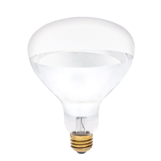 Myhouse Lighting Westinghouse Lighting - 0391800 - Light Bulb - Light Bulb - Clear