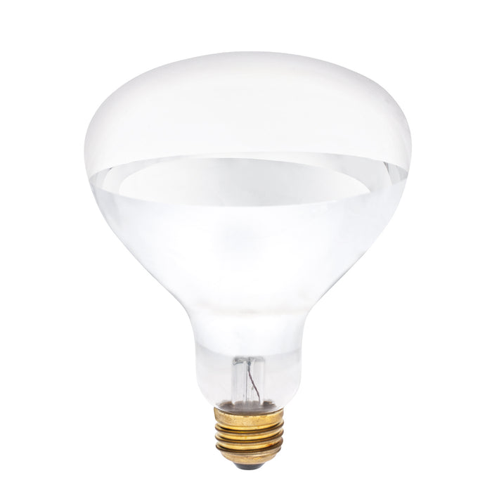 Myhouse Lighting Westinghouse Lighting - 0391800 - Light Bulb - Light Bulb - Clear