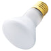 Myhouse Lighting Westinghouse Lighting - 0430300 - Light Bulb - Light Bulb - Frost
