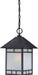 Myhouse Lighting Nuvo Lighting - 60-5604 - One Light Hanging Lantern - Drexel - Stone Black