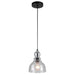 Myhouse Lighting Westinghouse Lighting - 6100800 - One Light Mini Pendant - Fiona - Oil Rubbed Bronze