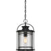 Myhouse Lighting Quoizel - BKR1910K - One Light Outdoor Hanging Lantern - Booker - Mystic Black