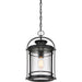 Myhouse Lighting Quoizel - BKR1910K - One Light Outdoor Hanging Lantern - Booker - Mystic Black