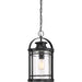 Myhouse Lighting Quoizel - BKR1910K - One Light Outdoor Hanging Lantern - Booker - Mystic Black