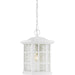 Myhouse Lighting Quoizel - SNN1909W - One Light Outdoor Hanging Lantern - Stonington - Matte White