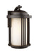 Myhouse Lighting Generation Lighting - 8747901-71 - One Light Outdoor Wall Lantern - Crowell - Antique Bronze