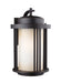 Myhouse Lighting Generation Lighting - 8847901-71 - One Light Outdoor Wall Lantern - Crowell - Antique Bronze