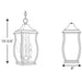 Myhouse Lighting Progress Lighting - P5504-108 - Three Light Hanging Lantern - Township - Oil Rubbed Bronze