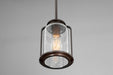 Myhouse Lighting Progress Lighting - P5560-20 - One Light Hanging Lantern - Botta - Antique Bronze