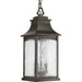 Myhouse Lighting Progress Lighting - P6532-108 - Two Light Hanging Lantern - Maison - Oil Rubbed Bronze