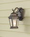 Myhouse Lighting Generation Lighting - OL5900CB - One Light Outdoor Wall Lantern - Martinsville - Corinthian Bronze