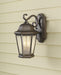 Myhouse Lighting Generation Lighting - OL5901CB - Two Light Outdoor Wall Lantern - Martinsville - Corinthian Bronze