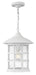 Myhouse Lighting Hinkley - 1802CW - LED Hanging Lantern - Freeport - Classic White