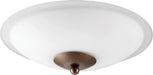 Myhouse Lighting Quorum - 1180-886 - LED Fan Light Kit - 1180 Light Kits - Oiled Bronze w/ Satin Opal