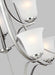 Myhouse Lighting Generation Lighting - 3139009-962 - Nine Light Chandelier - Emmons - Brushed Nickel