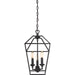 Myhouse Lighting Quoizel - AVY5203PN - Three Light Foyer Pendant - Aviary - Palladian Bronze