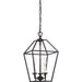 Myhouse Lighting Quoizel - AVY5203PN - Three Light Foyer Pendant - Aviary - Palladian Bronze