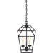 Myhouse Lighting Quoizel - AVY5203PN - Three Light Foyer Pendant - Aviary - Palladian Bronze