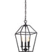 Myhouse Lighting Quoizel - AVY5203PN - Three Light Foyer Pendant - Aviary - Palladian Bronze