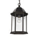 Myhouse Lighting Generation Lighting - 6238701-71 - One Light Outdoor Pendant - Sevier - Antique Bronze