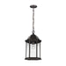 Myhouse Lighting Generation Lighting - 6238701-71 - One Light Outdoor Pendant - Sevier - Antique Bronze