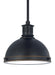 Myhouse Lighting Generation Lighting - 65085EN3-715 - One Light Pendant - Pratt Street Metal - Autumn Bronze