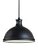 Myhouse Lighting Generation Lighting - 65086EN3-715 - Two Light Pendant - Pratt Street Metal - Autumn Bronze