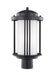 Myhouse Lighting Generation Lighting - 8247901EN3-12 - One Light Outdoor Post Lantern - Crowell - Black