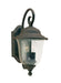 Myhouse Lighting Generation Lighting - 8459EN-46 - Two Light Outdoor Wall Lantern - Trafalgar - Oxidized Bronze