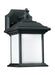 Myhouse Lighting Generation Lighting - 89101EN3-12 - One Light Outdoor Wall Lantern - Wynfield - Black