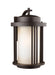 Myhouse Lighting Generation Lighting - 8847901EN3-71 - One Light Outdoor Wall Lantern - Crowell - Antique Bronze