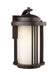 Myhouse Lighting Generation Lighting - 8747901EN3-71 - One Light Outdoor Wall Lantern - Crowell - Antique Bronze