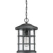 Myhouse Lighting Quoizel - CSE1910EK - One Light Outdoor Hanging Lantern - Crusade - Earth Black