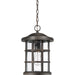 Myhouse Lighting Quoizel - CSE1910PN - One Light Outdoor Hanging Lantern - Crusade - Palladian Bronze