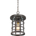 Myhouse Lighting Quoizel - CSE1910PN - One Light Outdoor Hanging Lantern - Crusade - Palladian Bronze